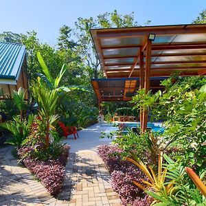 Casa Jeffrey - Beach Escape, Stunning Views, Private Pool Steps To Ocean